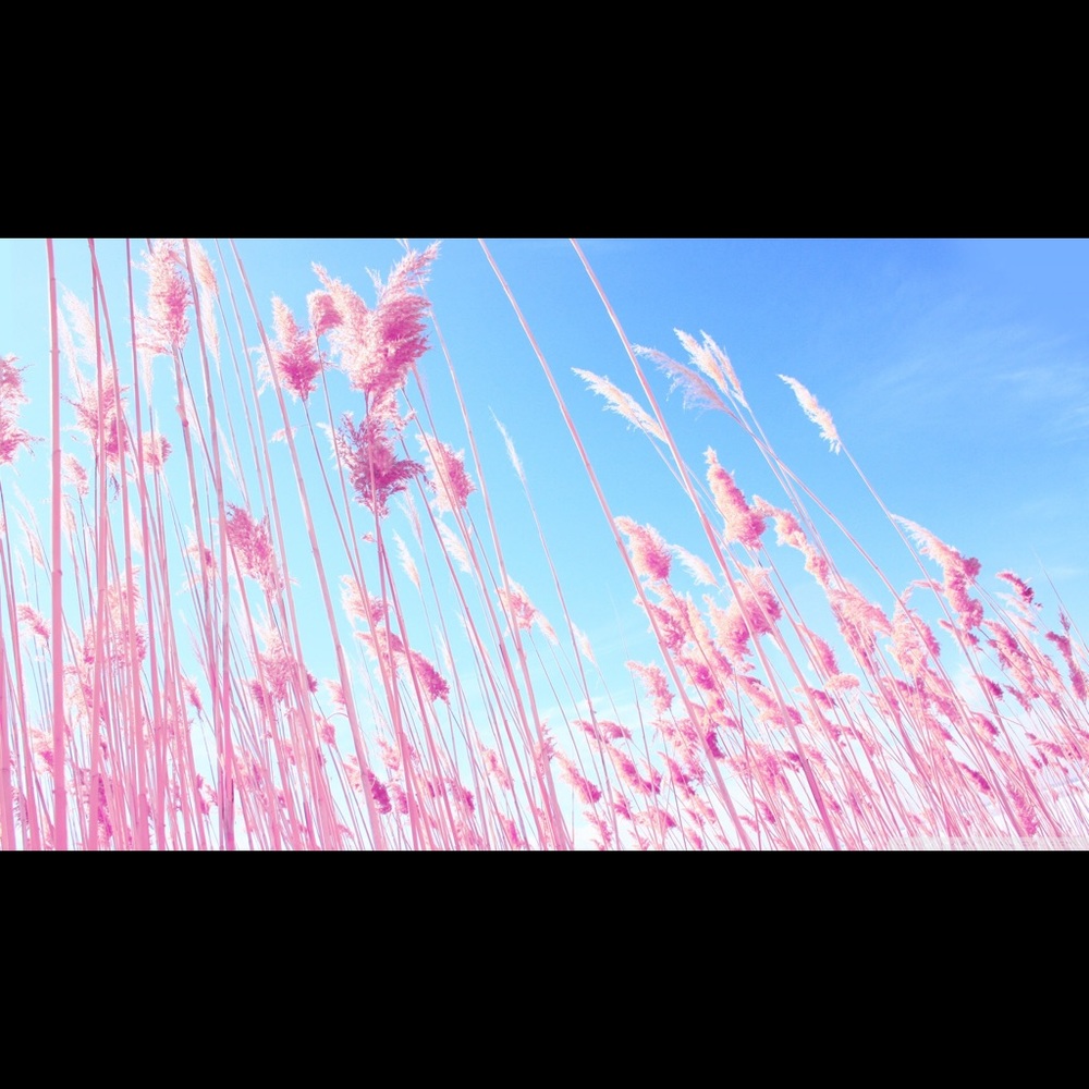 Closet Rules - image 1